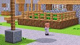Minecraft动画：村民宝宝贴寻人启事寻找绿衣服村民