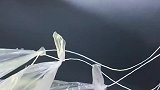 塑料纸变身降落伞