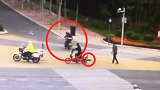 泰迪犬未栓绳在斑马线被碾致颅内出血 狗主：必须赔钱