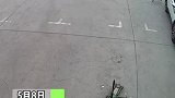 山东莱州：大车轮胎跟着狗子跑，狗子为轮胎导航