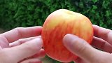 挑战“高压水枪切苹果”，真的能把苹果切成两半吗？