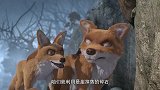 两只豺狼想害人不成，反倒一直受伤，好惨啊