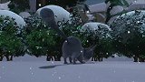 熊出没：下着鹅毛大雪，肥波出去找吃的，被冻晕了
