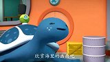 海底小纵队第四季：特制的相机，为什么海龟桑迪要背着它