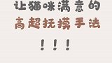 让猫咪满意的高超抚摸手法