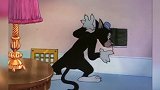 猫和老鼠：杰瑞好难啊，两只猫都抓它，它无路可逃了