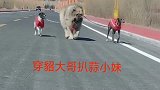 这万一大块头要是躺下了，俩瘦子绝对拉不动！