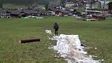 这么点雪也能滑?国外达人秀操作可惜最后玩现了