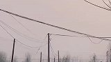 我都怀疑我对象回来村就跟换了一个人一样