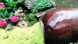 来过丽江的人，许多时候，心都被美景俘获。