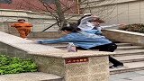 自己胆小还打人，还是不是个男人？