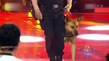 警察携年迈警犬登台，现场解救人质，太精彩了！