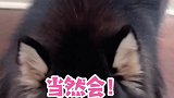 小棉袄怎么也漏风了