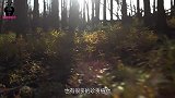 男子上山看到巨型灵芝，刚想要采摘，走近后吓得转身就跑