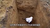 不小心掉进米深坑，没有工具怎样自救看完长本事了！