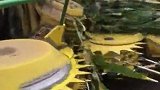 自动玉米收割机，连着玉米杆一起收割，长见识了