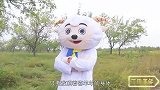 灰太狼化身喜羊羊潜入羊村，青青草原该如何化险为夷？
