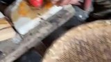 谁知道柿饼是怎么制作的呢，就是把柿子压扁就行吗