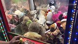 橘猫跑到娃娃机里睡觉，路人纷纷投币尝试抓猫