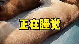 判断失误了，结尾很意外