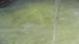 鸟巢蛋饼吃过没？