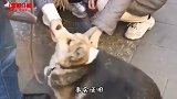 别人是生孩子 我这是生了只猴子吗？这是要返祖吗