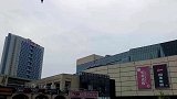 我可以在天空自由飞翔，因为我是雷电的化身
