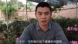 怎样清除蜂群中的雄蜂，用这种方法效果非常好