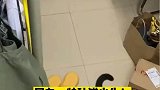 猫咪爬上铺找主人玩耍，一不小心踩空成倒挂金钩