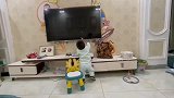 孩子当然要宠了，多的电视就这么被报废了！