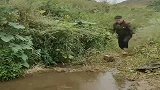 水里游来大货，男子惊喜万分，搬起巨石砸向水中！