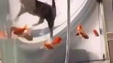我好像看见我奶了，吓坏我了