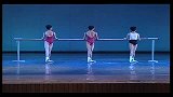 健美健身-芭蕾舞蹈基本功教学 (2)-专题