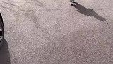 小女孩太可爱了吧，爱护环境