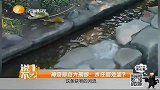 世界之大无奇不有,水也能向高处流淌,神奇景点出现奇观