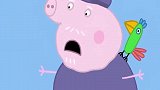 小猪佩奇：猪爷爷的船抛锚了，让鹦鹉去通知猪奶奶来救猪爷爷