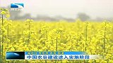 湖北新闻-20120416-中国农谷建设进入实施阶段