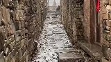 寻常巷陌经风雪，老树蓬门约丹青。