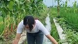 看看今晚的下酒菜！