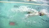 奥运会-16年-菲尔普斯赢得奥运第19金 泳池传奇还在继续谱写-新闻