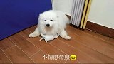 你生的娃你不带谁带吖？