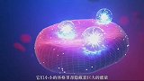 地球上唯一掌握了长生秘诀的生物，研究它人类有望突破寿命极限