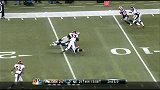 NFL-1314赛季-常规赛-第12周-Manning传球被断爱国者达阵 爱国者28：24野马-花絮