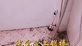 热水器的清洗，简单方便快捷，自己洗省钱省事。