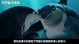 一条只爱吃素的小鲨鱼，父亲每天逼它称霸海洋，它却只想当清洁工