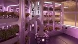 神奇的3D打印技术，即将运用到火星！