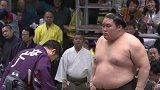 2019日本相扑锦标赛高亮集锦 热血力士们的对垒