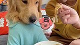 眼泪已经在眼眶了，硬生生挤回去了有没有？