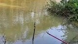 除了不上鱼，什么玩意都能钓得上来