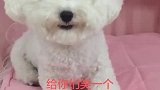 原来懒也能上热搜